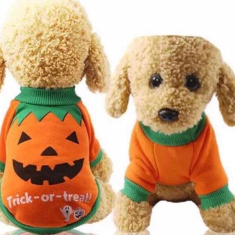 Halloween Pumpkin Dog Sweater - Orange & Green, NWOT